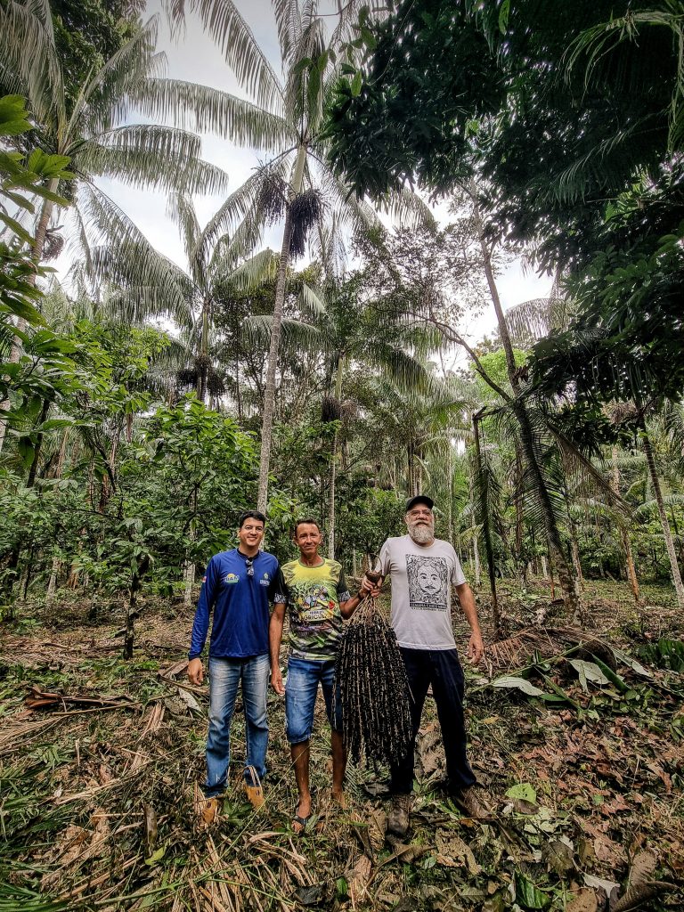 As atividades têm o objetivo de assegurar o desenvolvimento econômico, a proteção ambiental e a inclusão social.