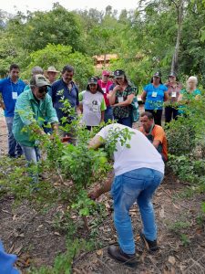 Na prática da agricultura, estes produtores encontram uma forma de produzir os próprios alimentos, garantir renda própria, comercializar produtos e gerar empregos no campo